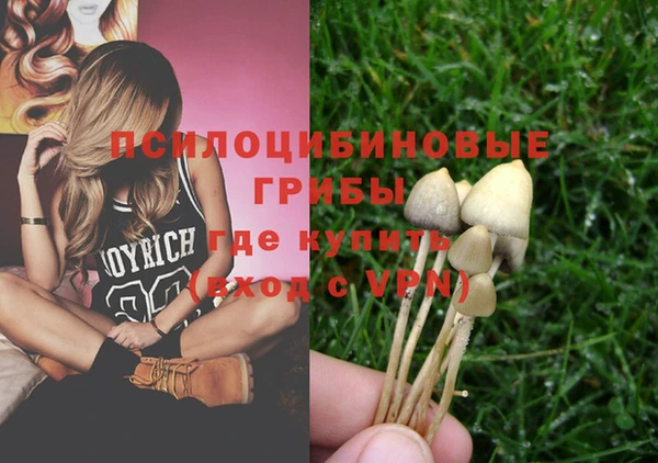 тгк Аркадак