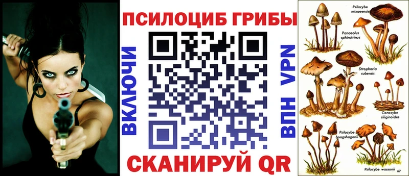 Псилоцибиновые грибы Magic Shrooms  Аркадак 
